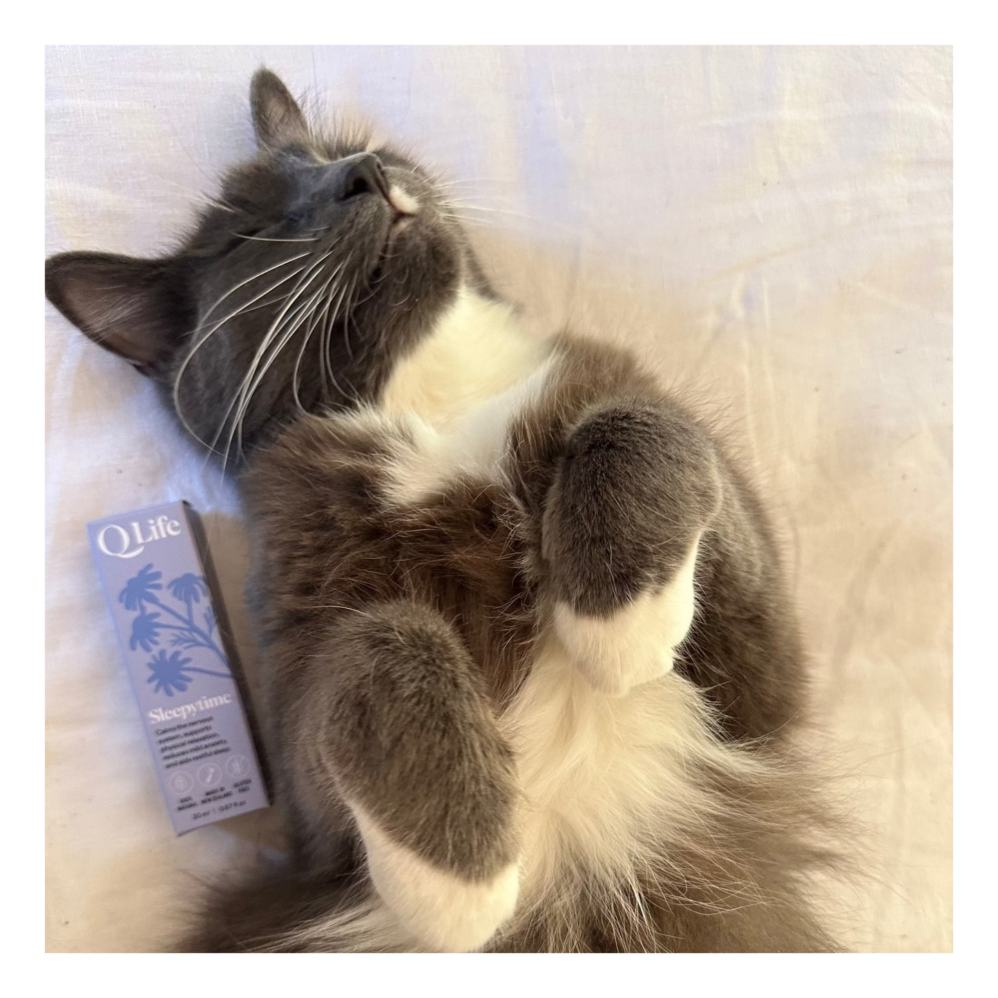 Sleepytime drops for Pets