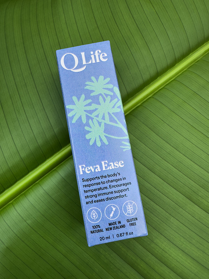 Q Life Feva Ease box on a green leaf, highlighting the product's natural ingredients.