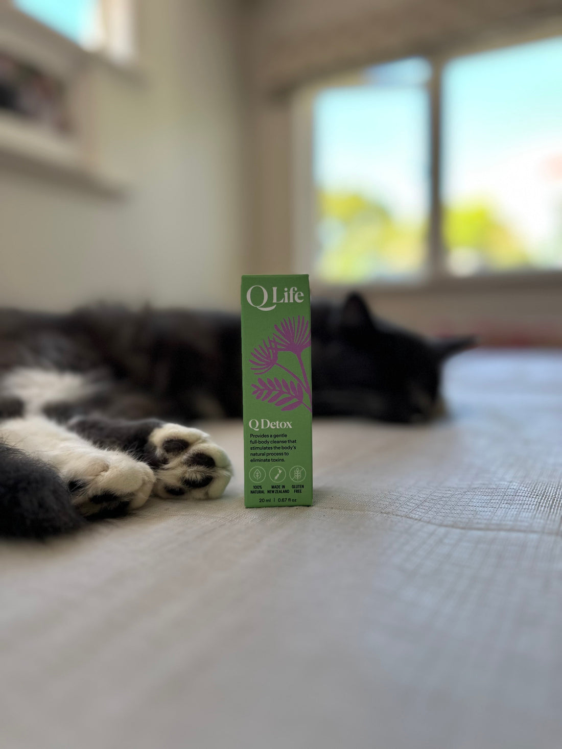 A Gentle Cleanse from the Inside Out: QLife's Q Detox for Pets